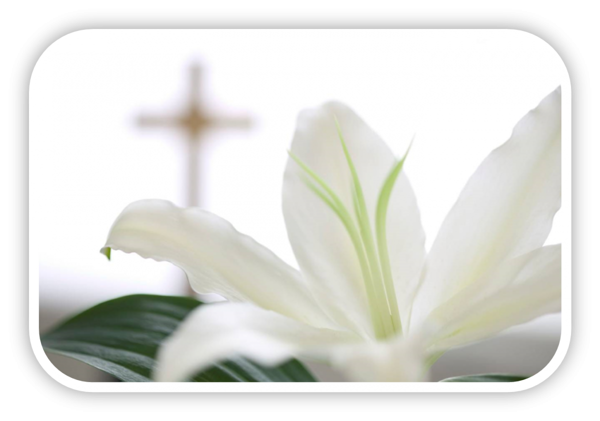 easter-lilly